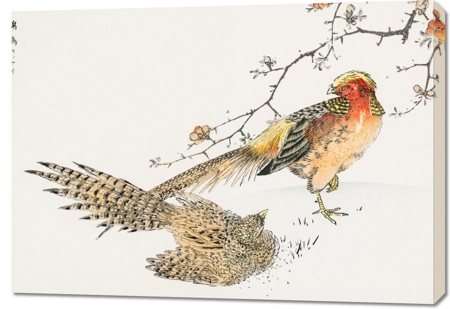 Obraz  Golden Pheasant, Kashu Japoński Vintage do Salonu