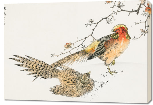 Obraz  Golden Pheasant, Kashu Japoński Vintage do Salonu