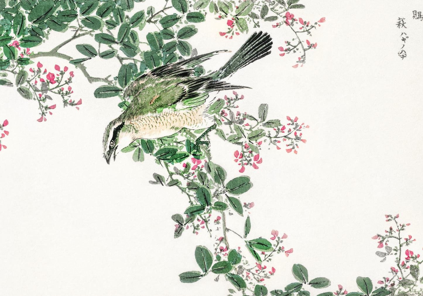 Plakat   Shrike. Kashu Japoński Vintage do Salonu