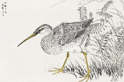 Plakat  Eastern Whimbrel, Kashu Japoński Vintage do Salonu