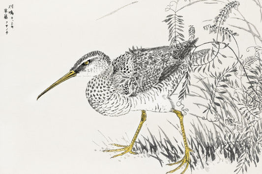 Plakat  Eastern Whimbrel, Kashu Japoński Vintage do Salonu