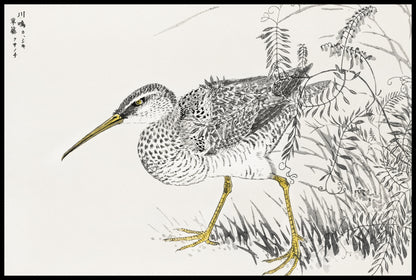 Plakat  Eastern Whimbrel, Kashu Japoński Vintage do Salonu