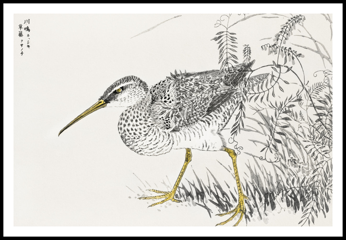 Plakat  Eastern Whimbrel, Kashu Japoński Vintage do Salonu