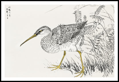 Plakat  Eastern Whimbrel, Kashu Japoński Vintage do Salonu