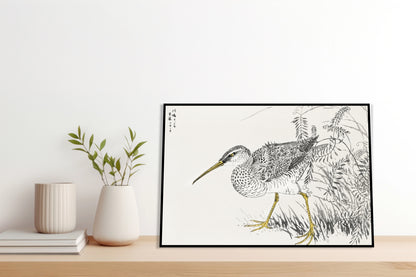 Plakat  Eastern Whimbrel, Kashu Japoński Vintage do Salonu