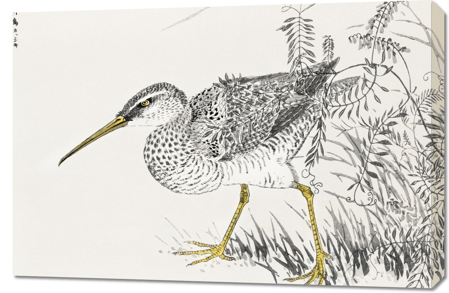 Obraz  Eastern Whimbrel, Kashu Japoński Vintage do Salonu