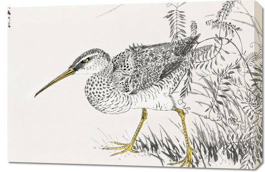 Obraz  Eastern Whimbrel, Kashu Japoński Vintage do Salonu