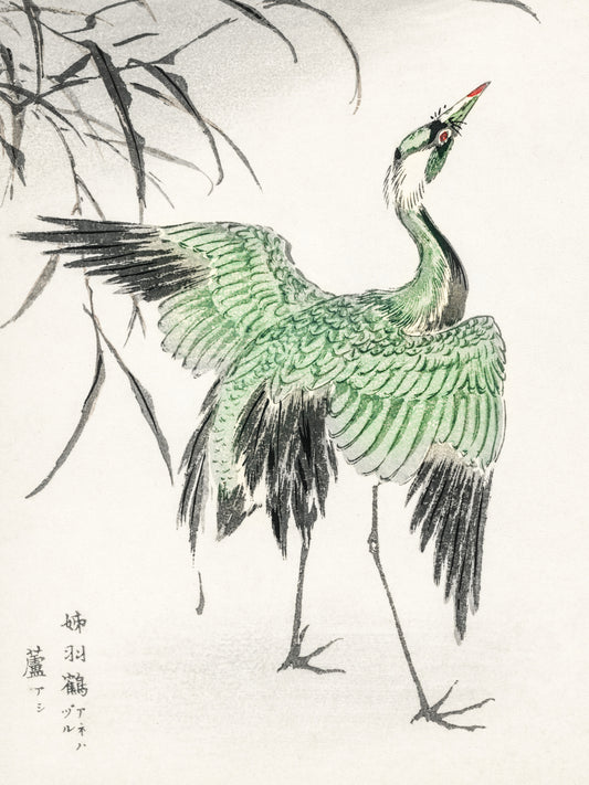 Plakat  Demoiselle Crane, Kashu Japoński Vintage do Salonu