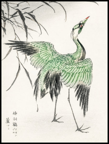 Plakat  Demoiselle Crane, Kashu Japoński Vintage do Salonu