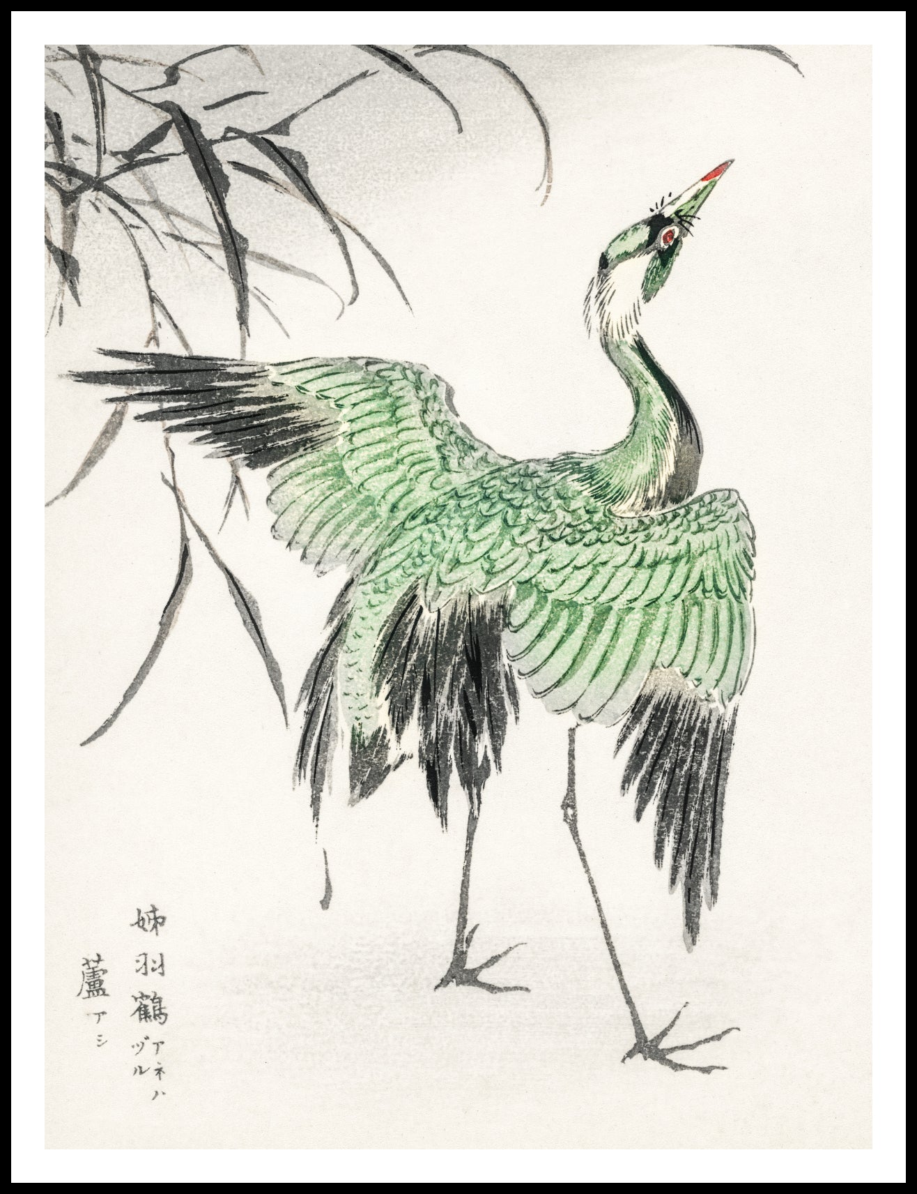 Plakat  Demoiselle Crane, Kashu Japoński Vintage do Salonu