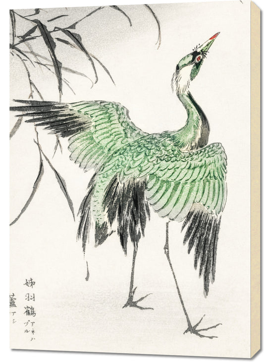 Obraz  Demoiselle Crane, Kashu Japoński Vintage do Salonu