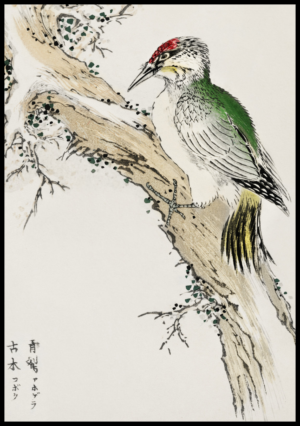 Plakat  Green Woodpecker, Kashu Japoński Vintage do Salonu
