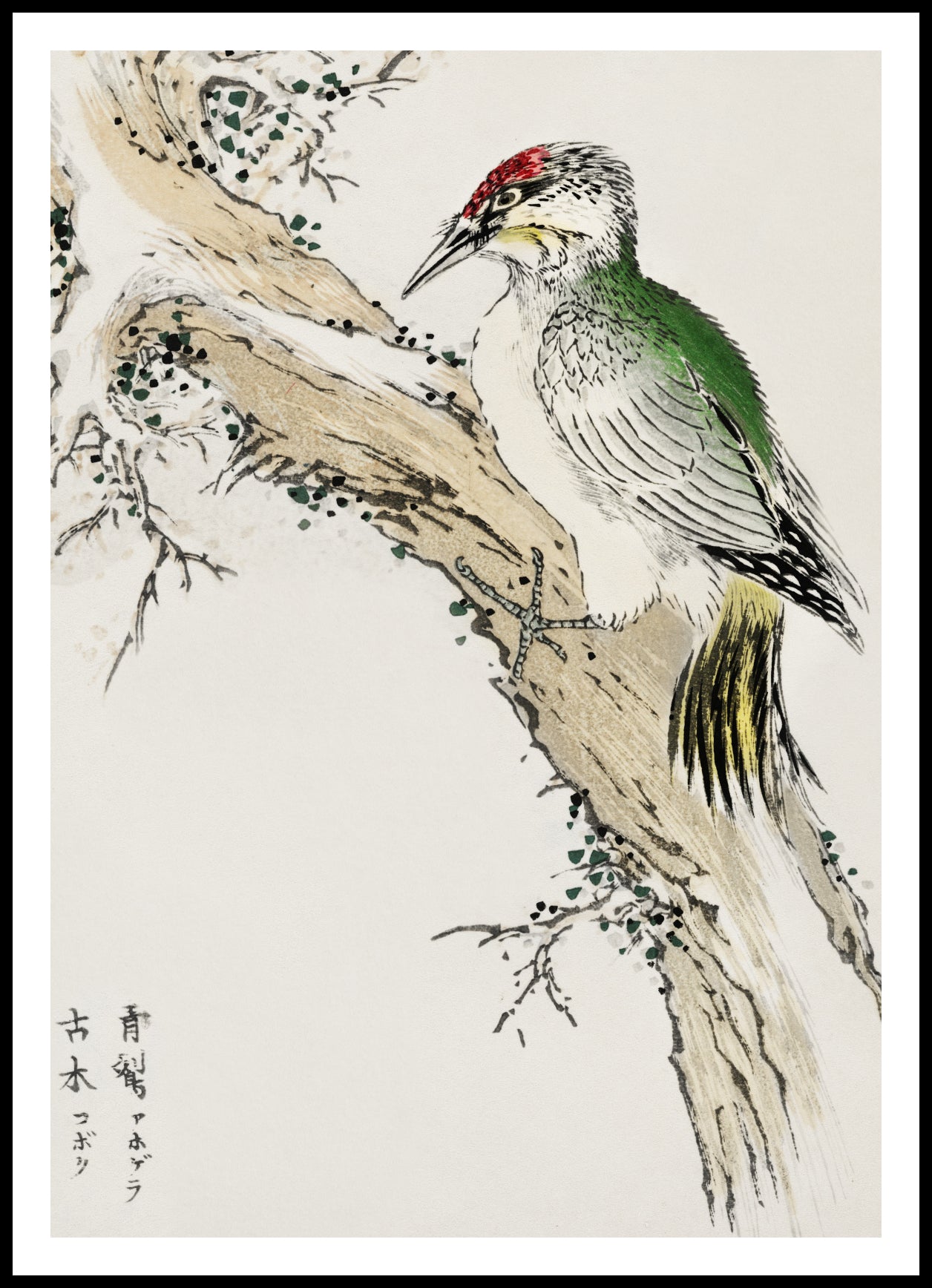 Plakat  Green Woodpecker, Kashu Japoński Vintage do Salonu