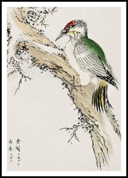 Plakat  Green Woodpecker, Kashu Japoński Vintage do Salonu