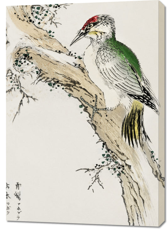 Obraz  Green Woodpecker, Kashu Japoński Vintage do Salonu
