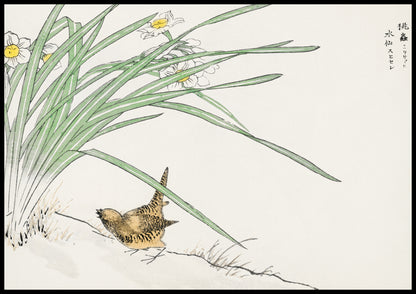 Plakat   Wren and Daffodil. Kashu Japoński Vintage