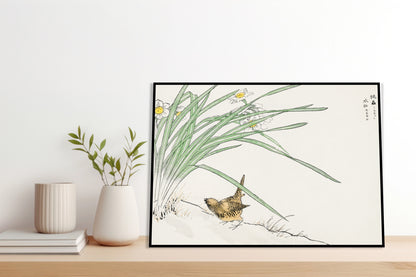 Plakat   Wren and Daffodil. Kashu Japoński Vintage