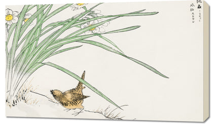Obraz   Wren and Daffodil. Kashu Japoński Vintage