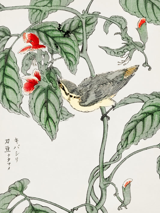 Plakat  Tree-Creeper. Kashu Japoński Vintage do Salonu