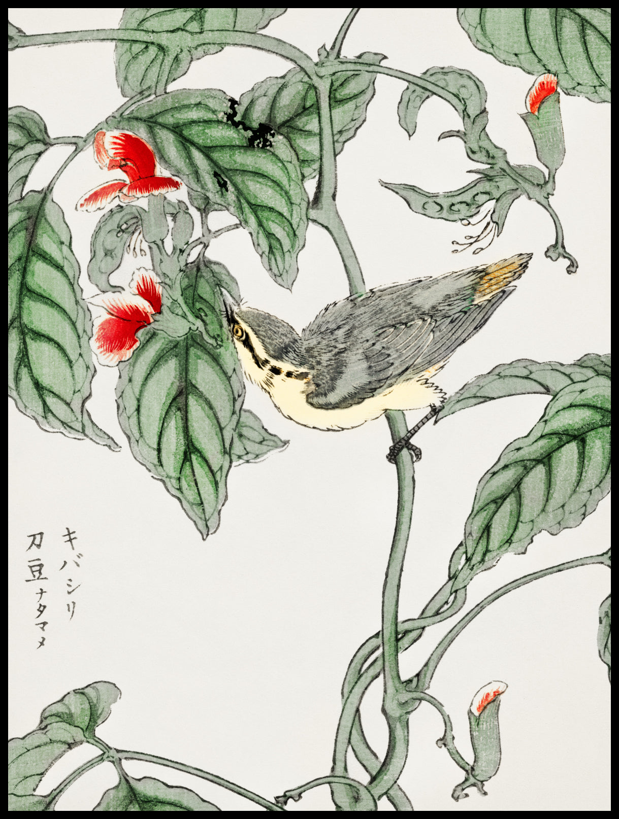 Plakat  Tree-Creeper. Kashu Japoński Vintage do Salonu