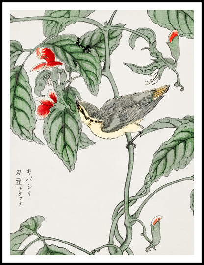Plakat  Tree-Creeper. Kashu Japoński Vintage do Salonu