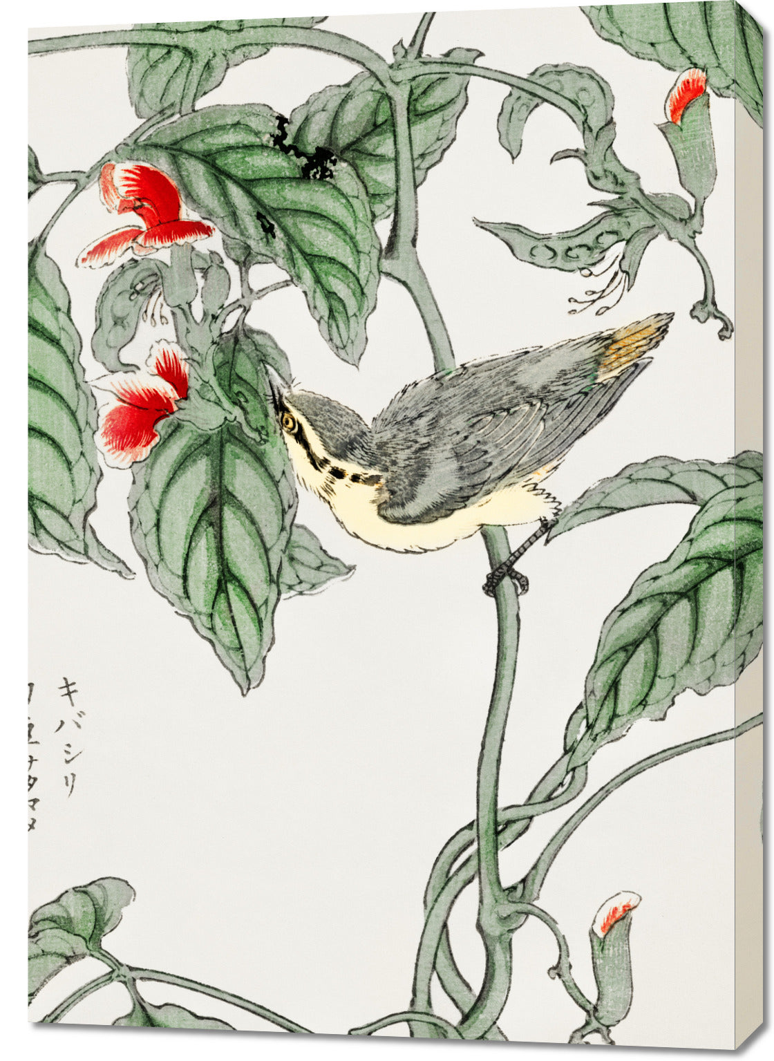 Obraz  Tree-Creeper. Kashu Japoński Vintage do Salonu