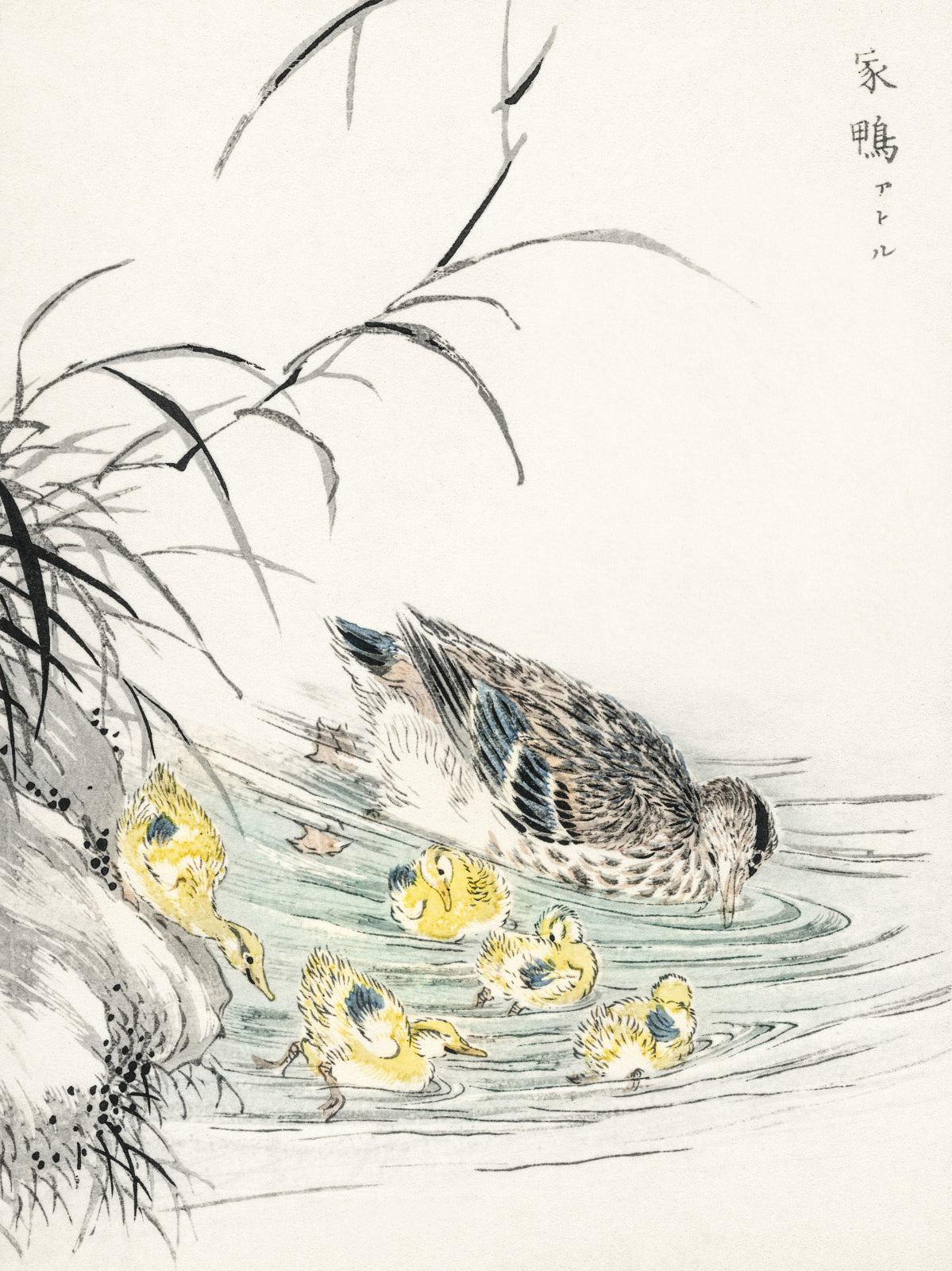 Plakat  Duck, Kashu Japoński Vintage do Salonu