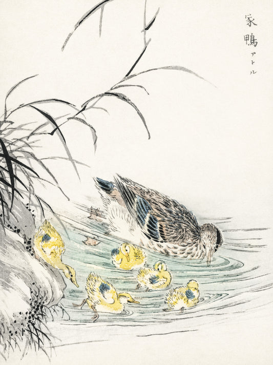 Plakat  Duck, Kashu Japoński Vintage do Salonu