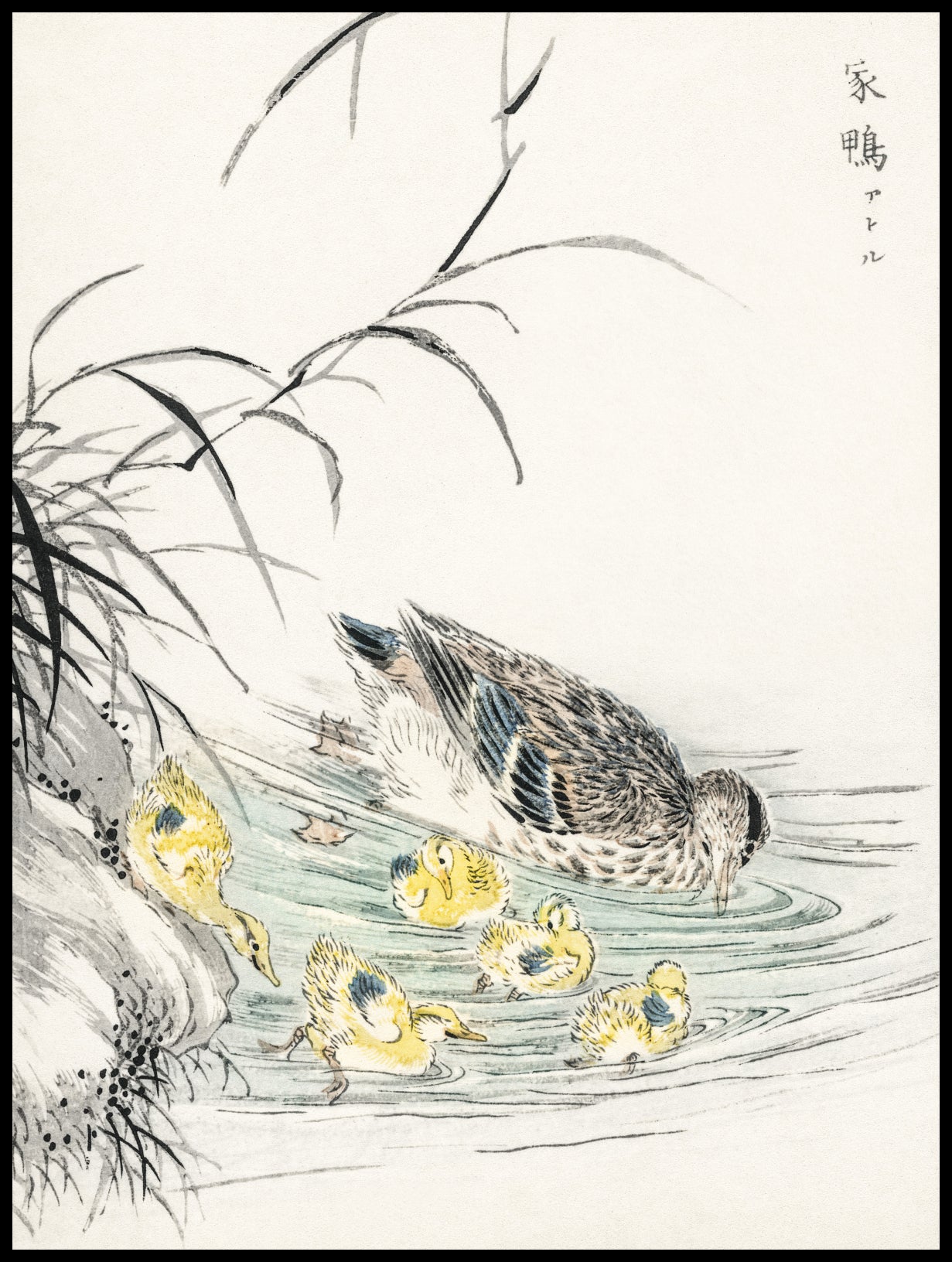 Plakat  Duck, Kashu Japoński Vintage do Salonu
