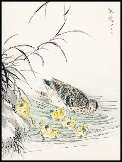 Plakat  Duck, Kashu Japoński Vintage do Salonu