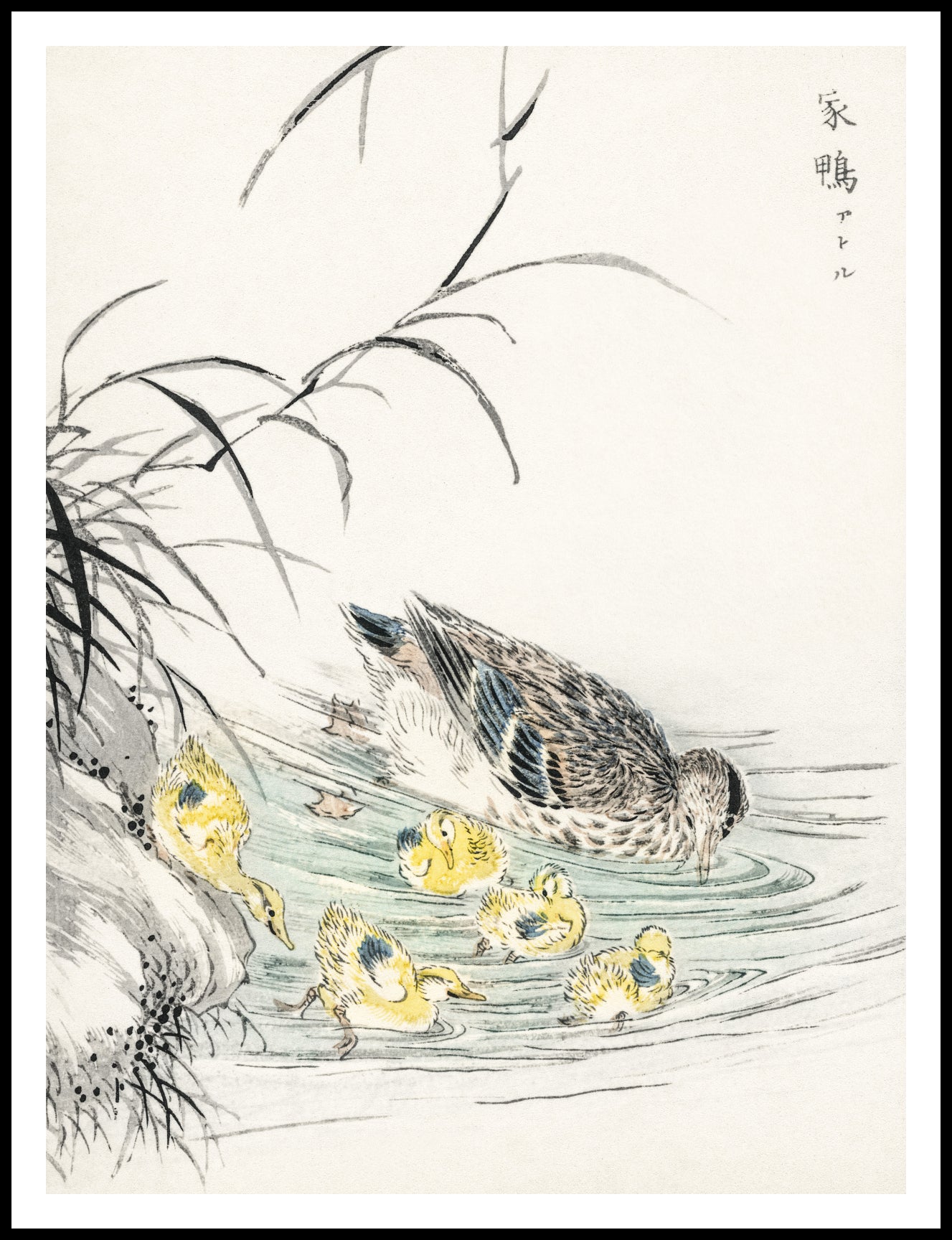 Plakat  Duck, Kashu Japoński Vintage do Salonu