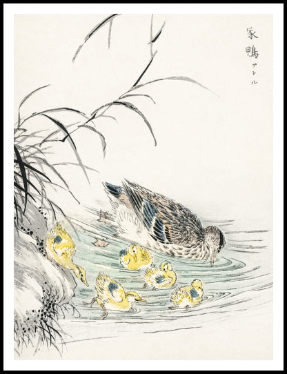 Plakat  Duck, Kashu Japoński Vintage do Salonu