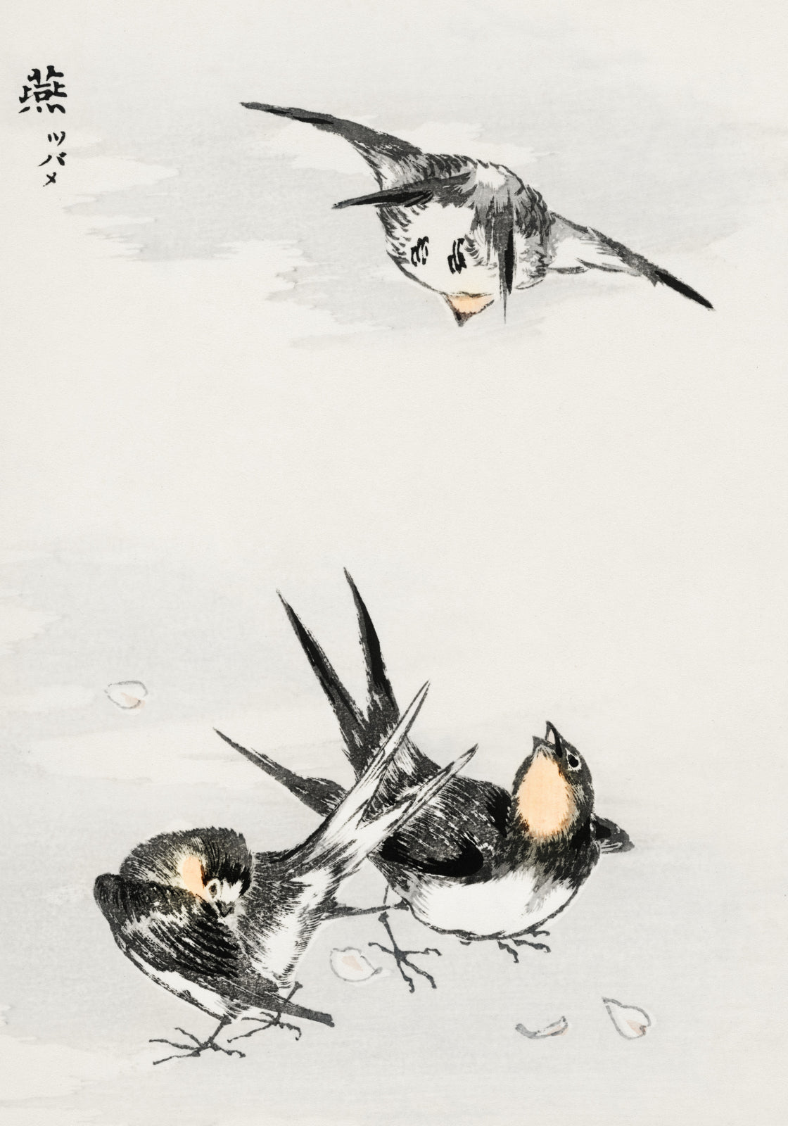 Plakat  Swallow, Kashu Japoński Vintage do Salonu