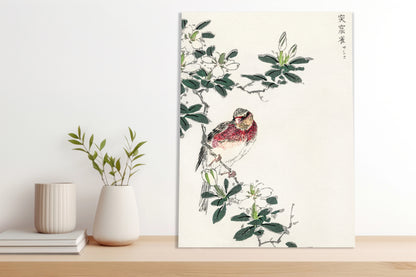 Obraz   Rosefinch, Kashu Japoński Vintage do Salonu