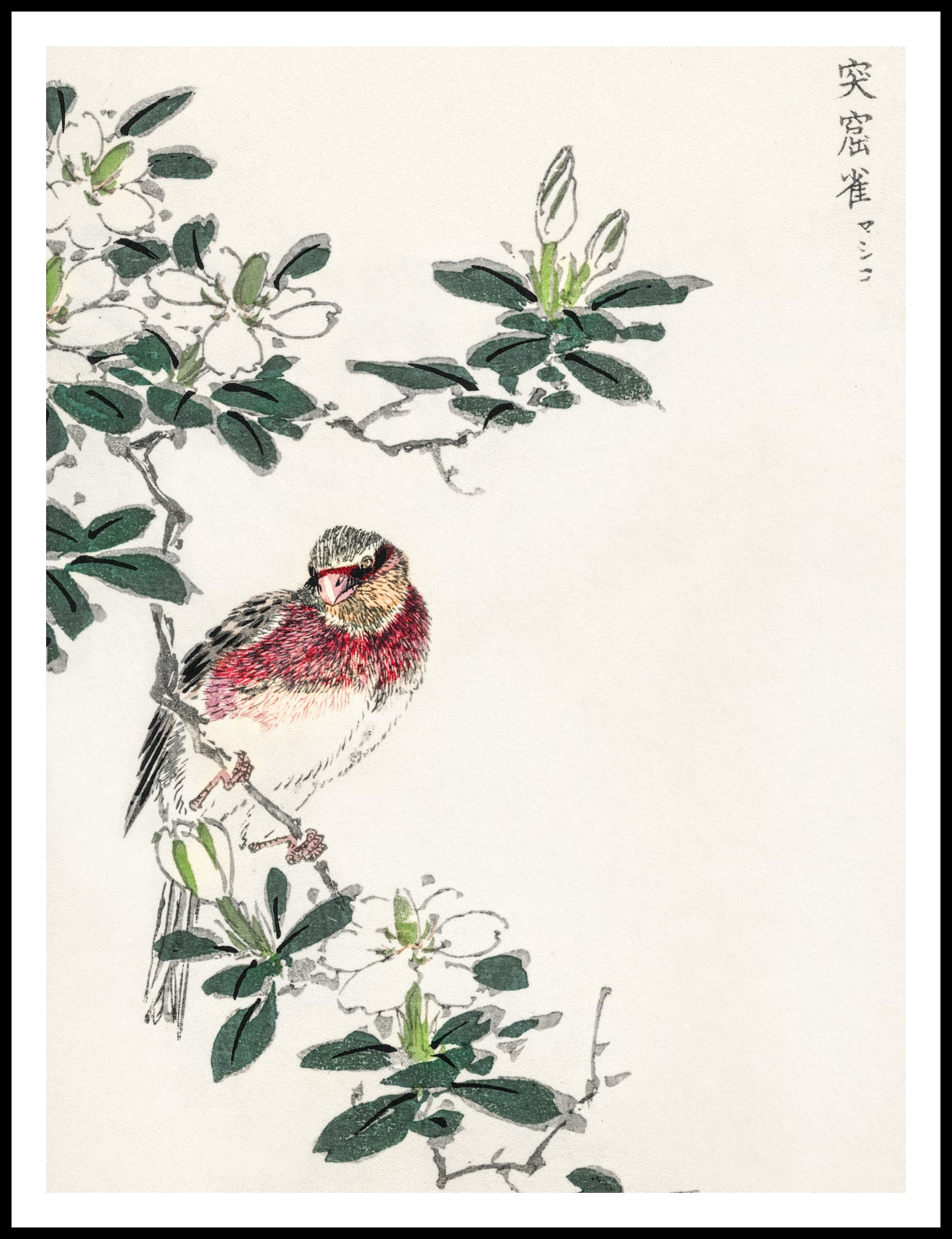 Plakat   Rosefinch, Kashu Japoński Vintage do Salonu