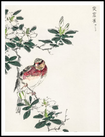 Plakat   Rosefinch, Kashu Japoński Vintage do Salonu