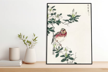 Plakat   Rosefinch, Kashu Japoński Vintage do Salonu