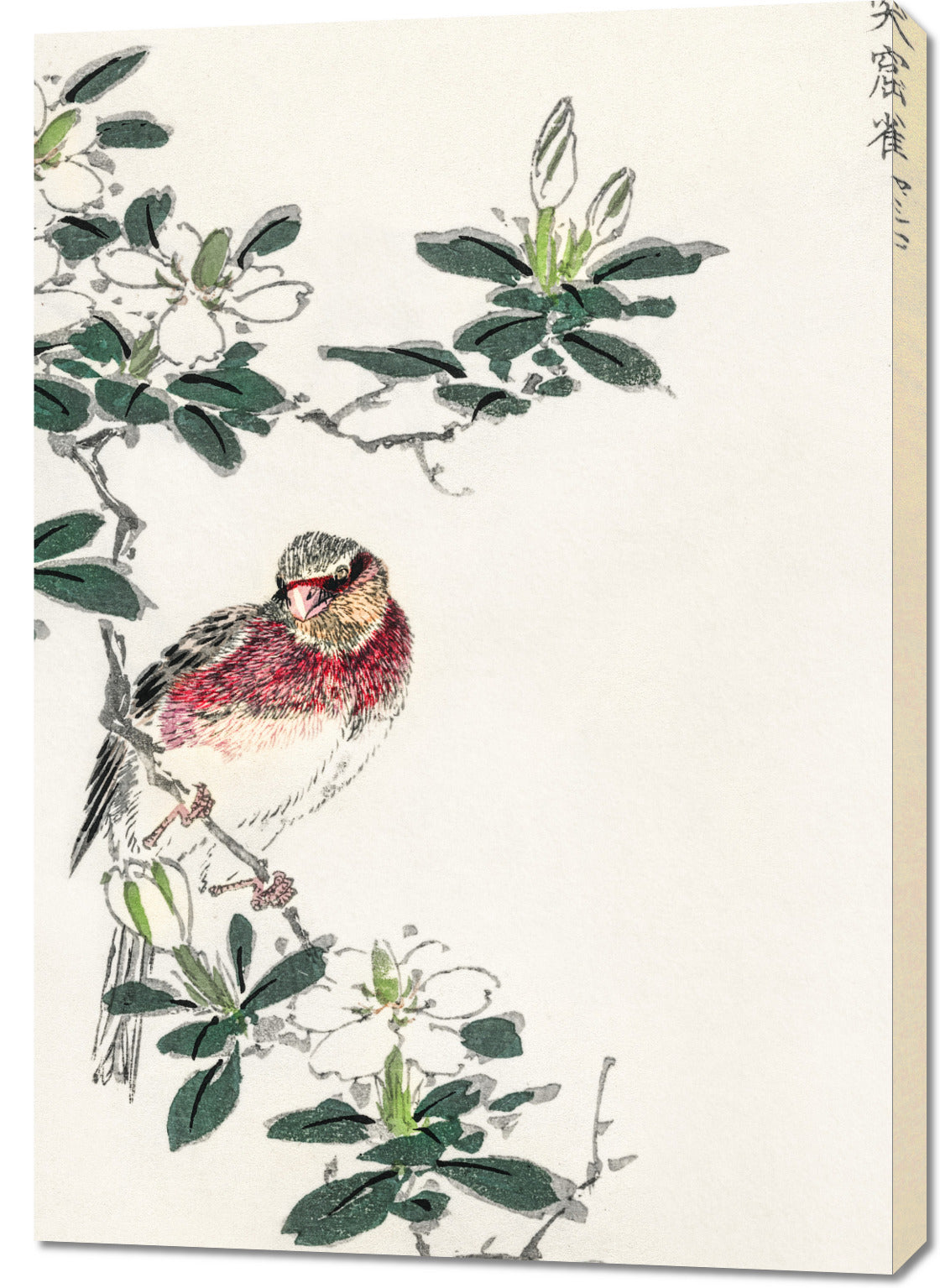 Obraz   Rosefinch, Kashu Japoński Vintage do Salonu