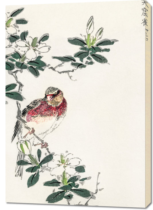 Obraz   Rosefinch, Kashu Japoński Vintage do Salonu