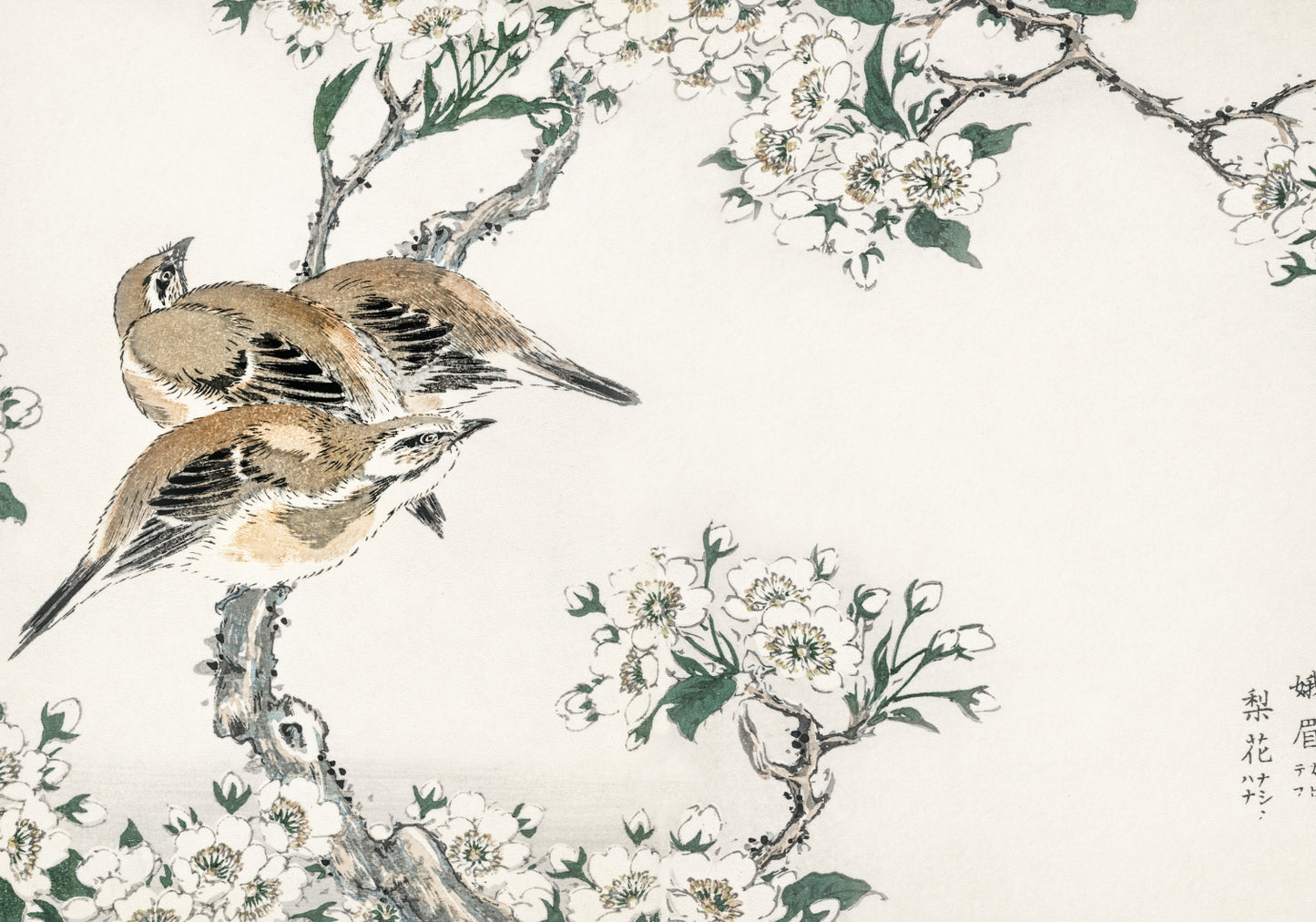 Plakat  Meadow Bunting, Kashu Japoński Vintage do Salonu