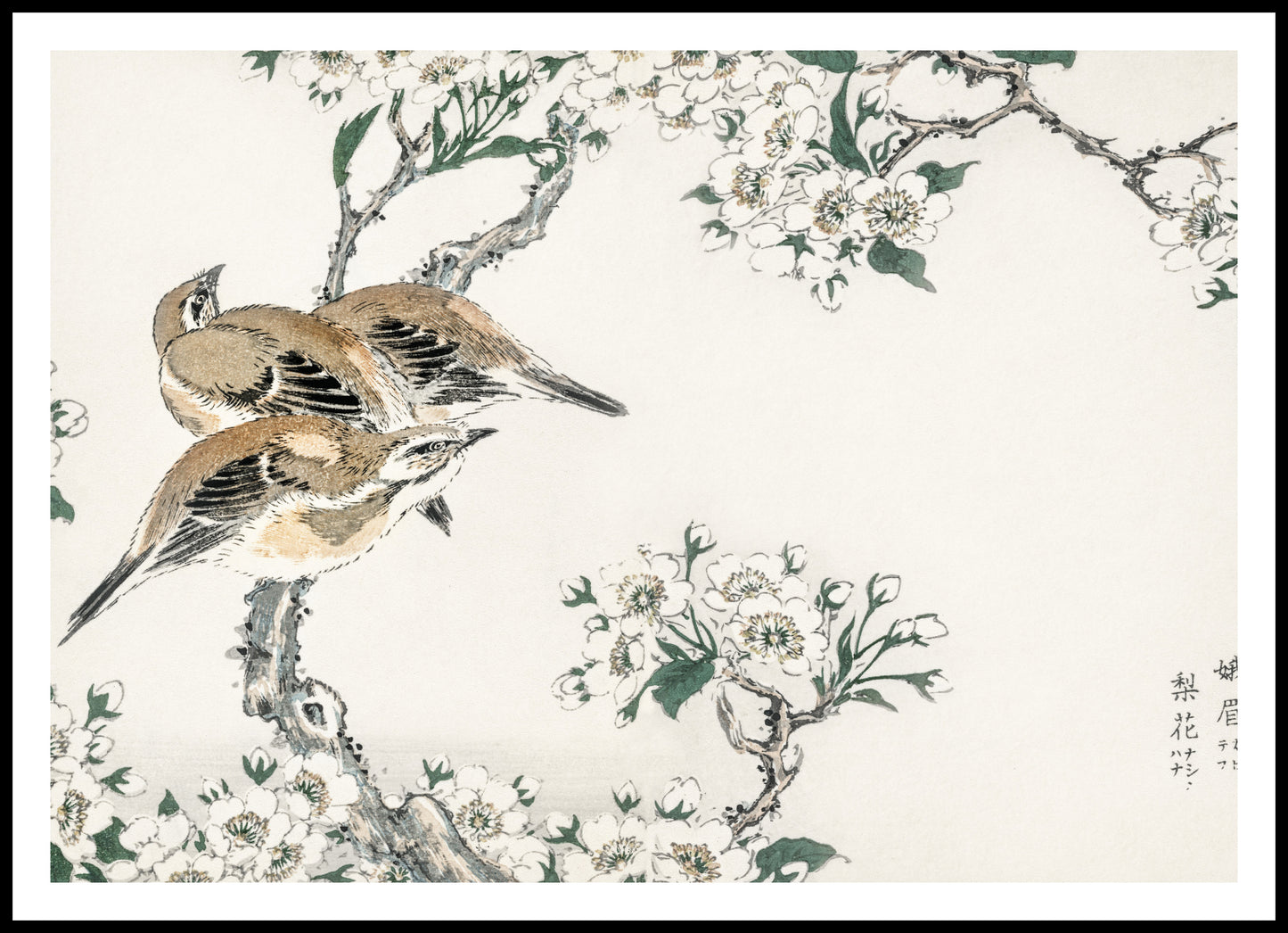 Plakat  Meadow Bunting, Kashu Japoński Vintage do Salonu