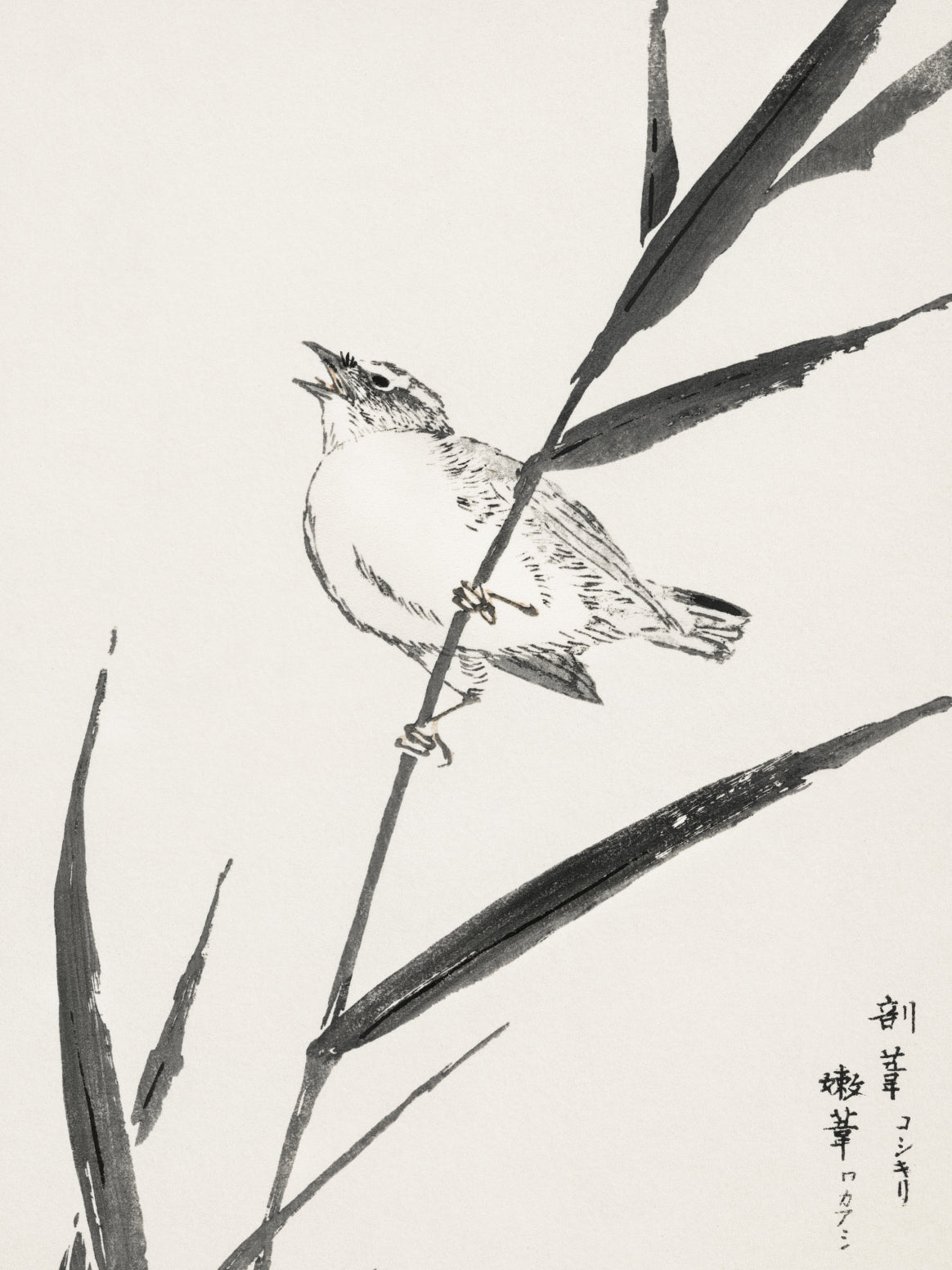 Plakat  Reed-Bunting, Kashu Japoński Vintage do Salonu
