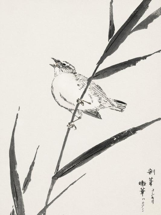 Plakat  Reed-Bunting, Kashu Japoński Vintage do Salonu