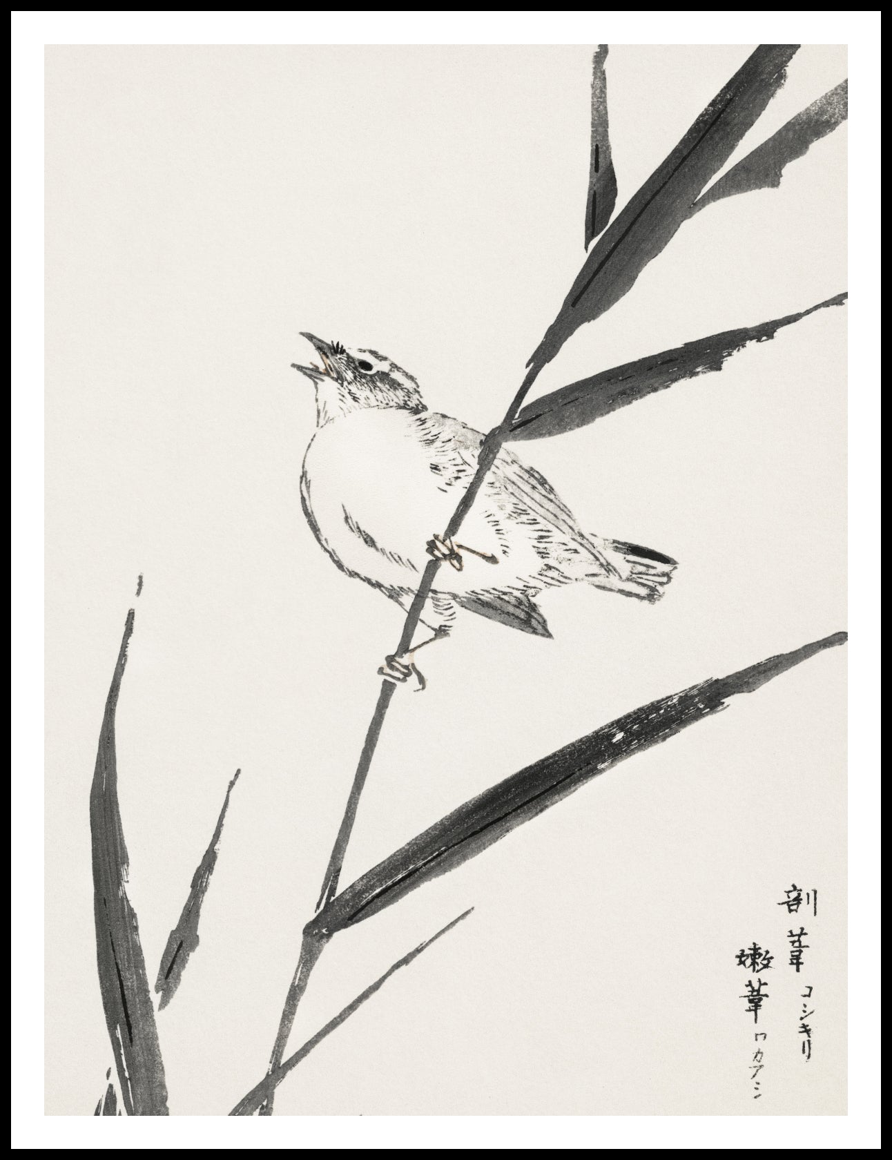 Plakat  Reed-Bunting, Kashu Japoński Vintage do Salonu