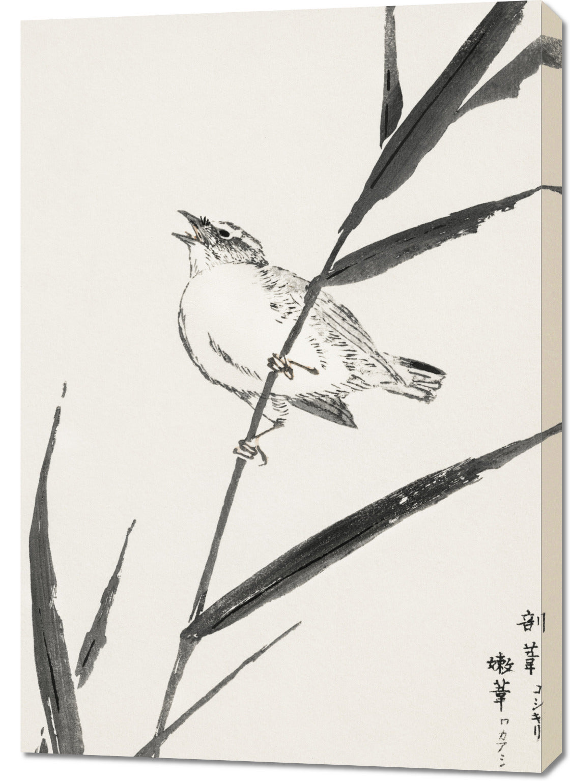 Obraz  Reed-Bunting, Kashu Japoński Vintage do Salonu