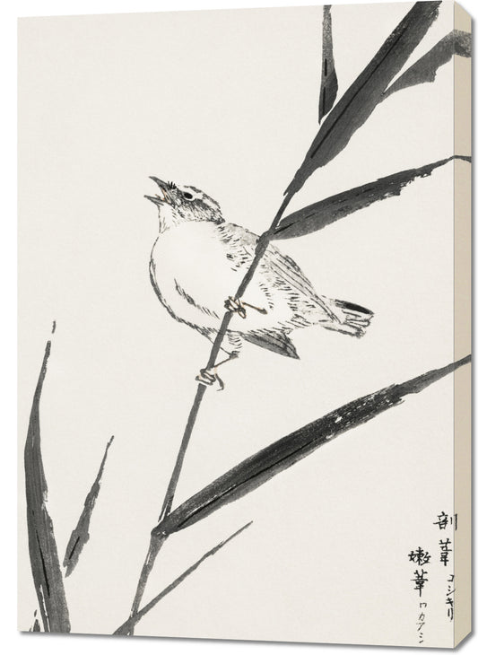 Obraz  Reed-Bunting, Kashu Japoński Vintage do Salonu