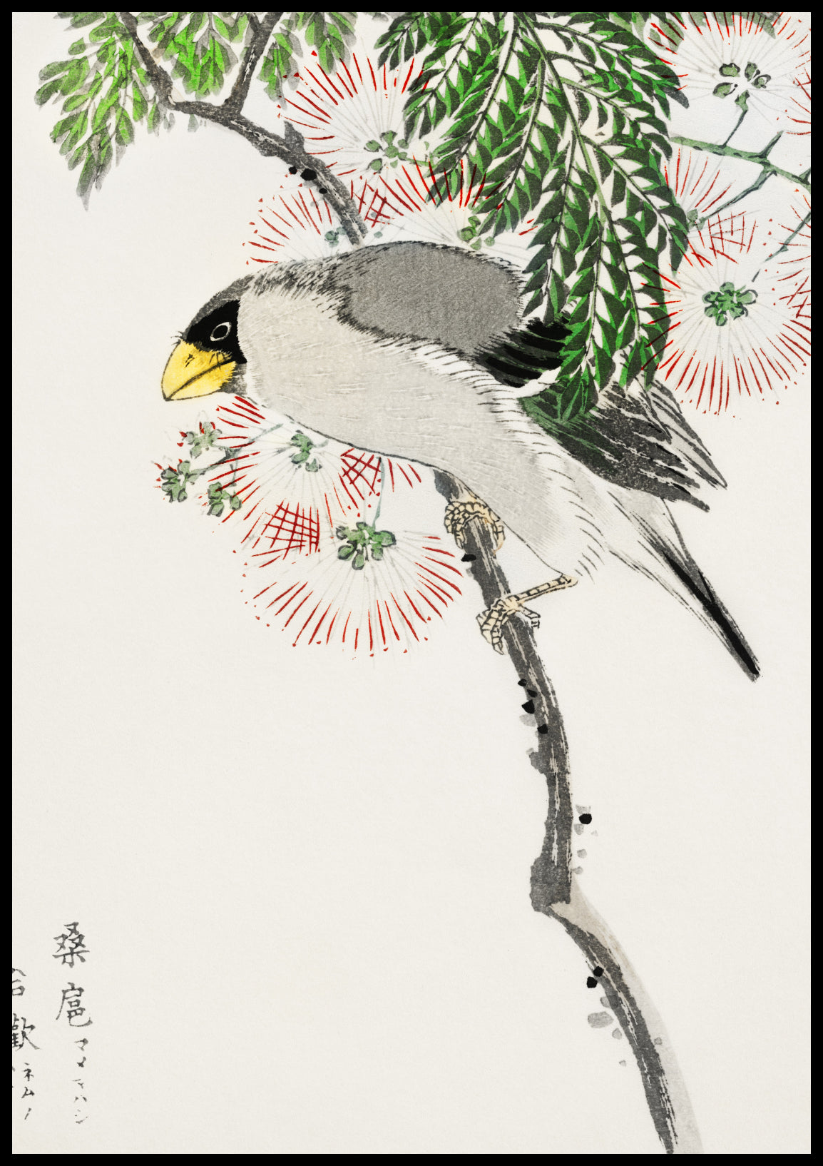Plakat  Masked Hawfinch, Kashu Japoński Vintage do Salonu