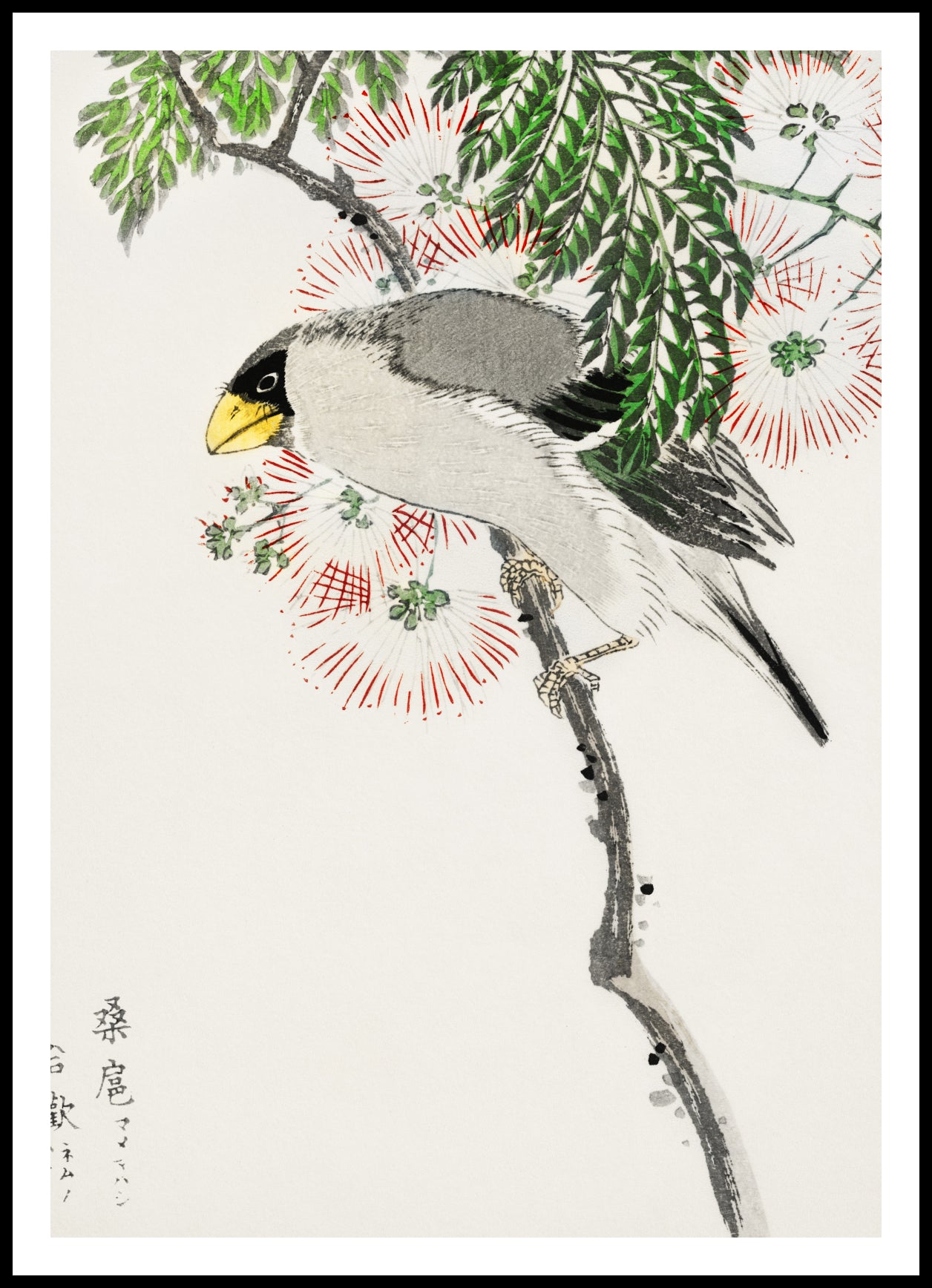 Plakat  Masked Hawfinch, Kashu Japoński Vintage do Salonu