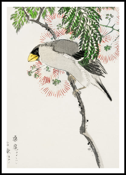 Plakat  Masked Hawfinch, Kashu Japoński Vintage do Salonu
