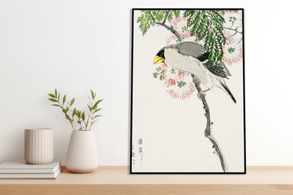 Plakat  Masked Hawfinch, Kashu Japoński Vintage do Salonu